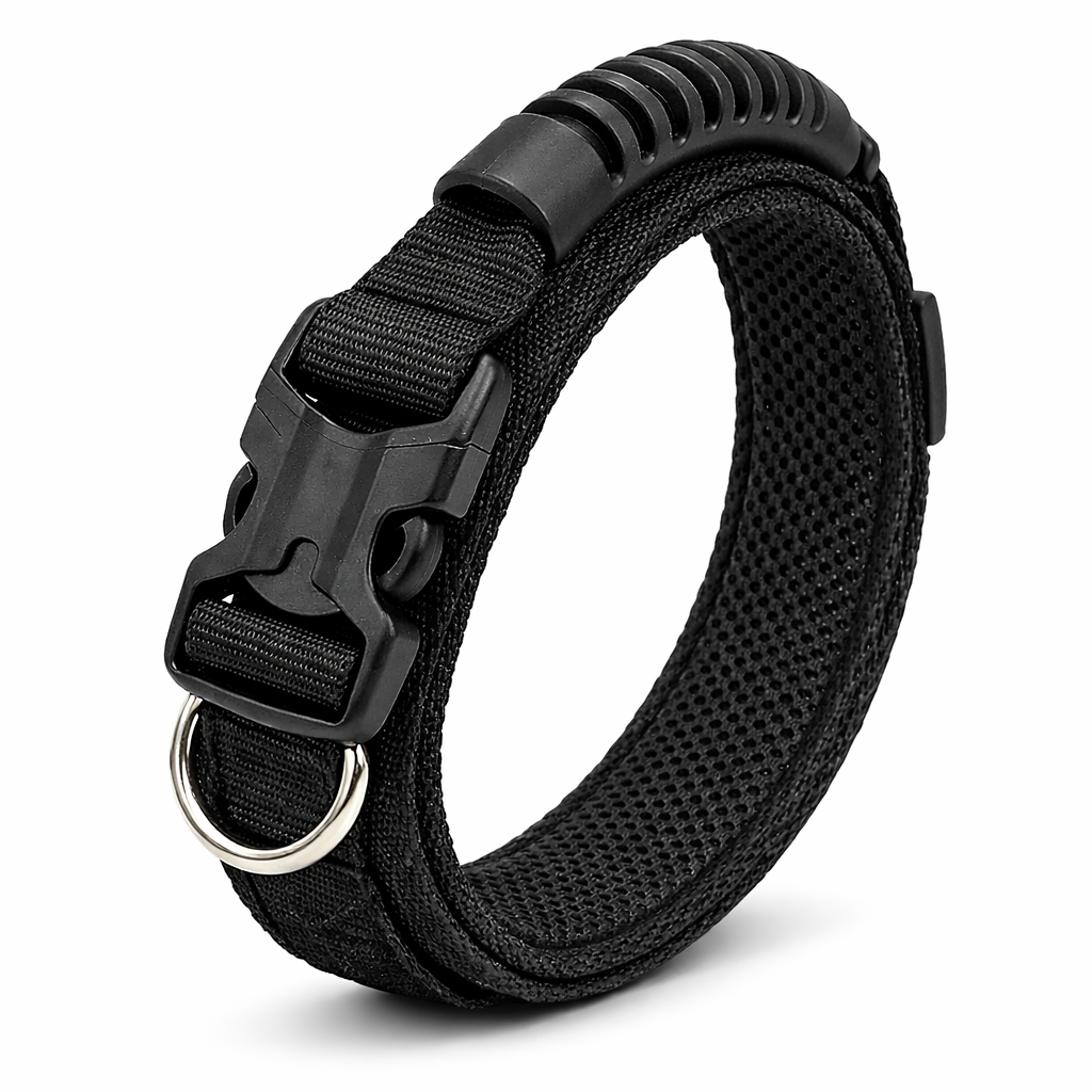 dog collar