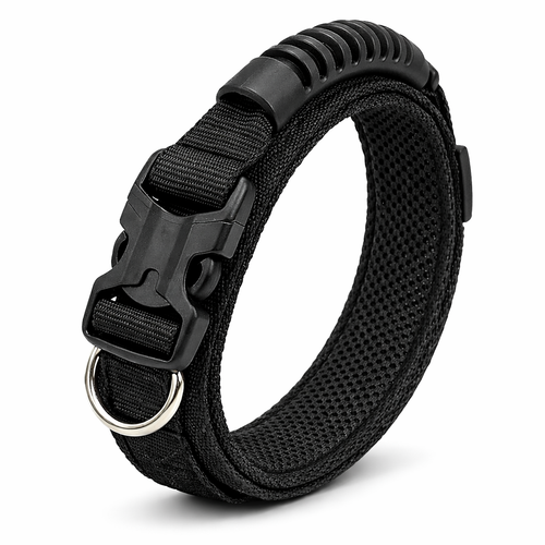 dog collar