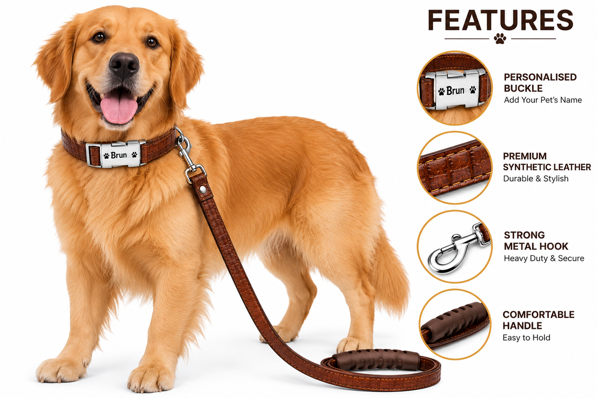 Personalized Dog Collar – Add Your Pet’s Name 🐶❤️