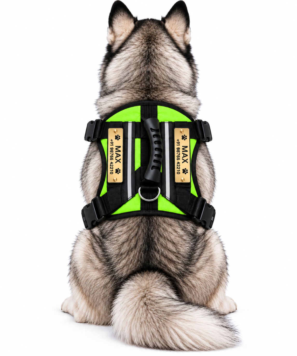 Premium Customizable Dog Harness with Personalized Name & Phone Number | Adjustable No-Pull Pet Vest Harness