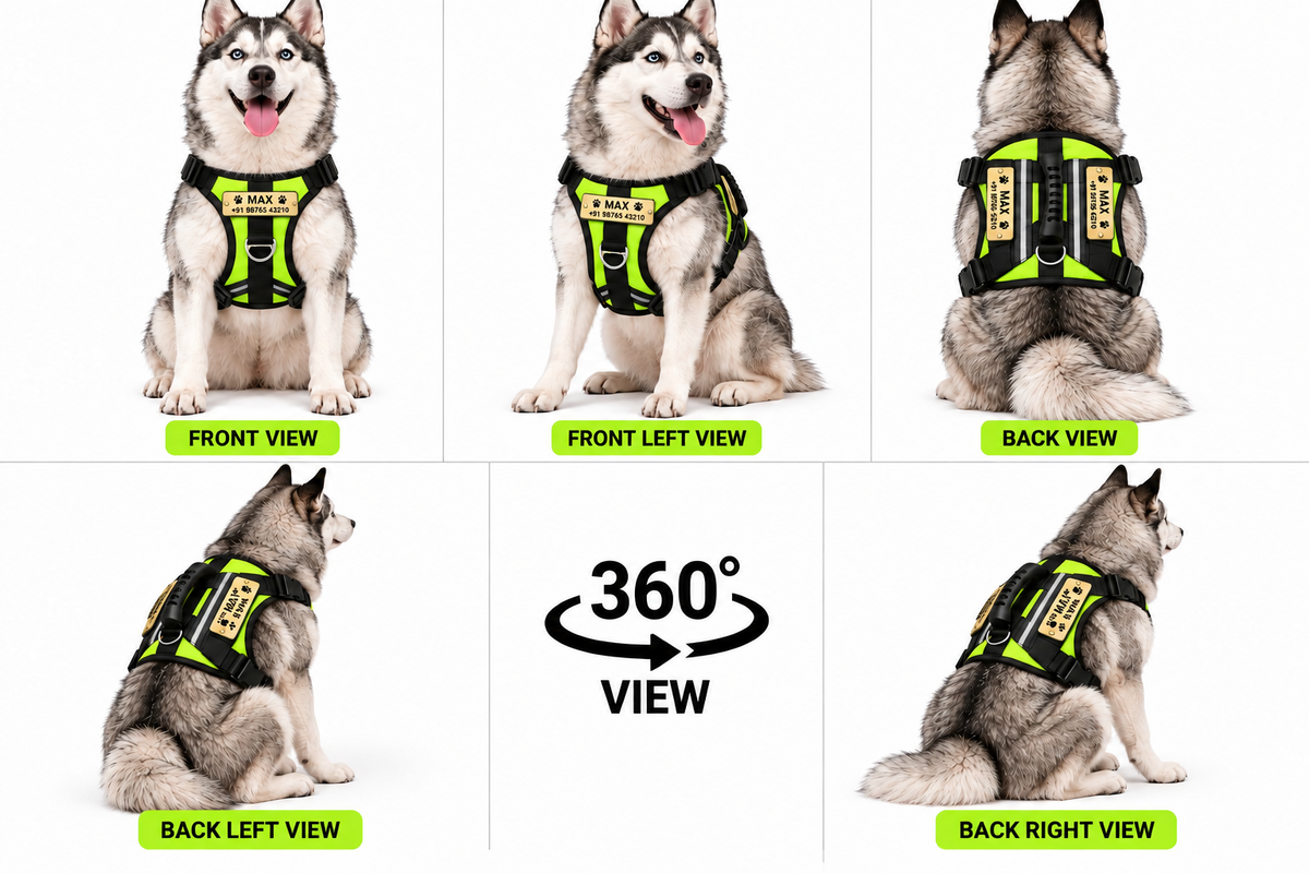 Premium Customizable Dog Harness with Personalized Name & Phone Number | Adjustable No-Pull Pet Vest Harness