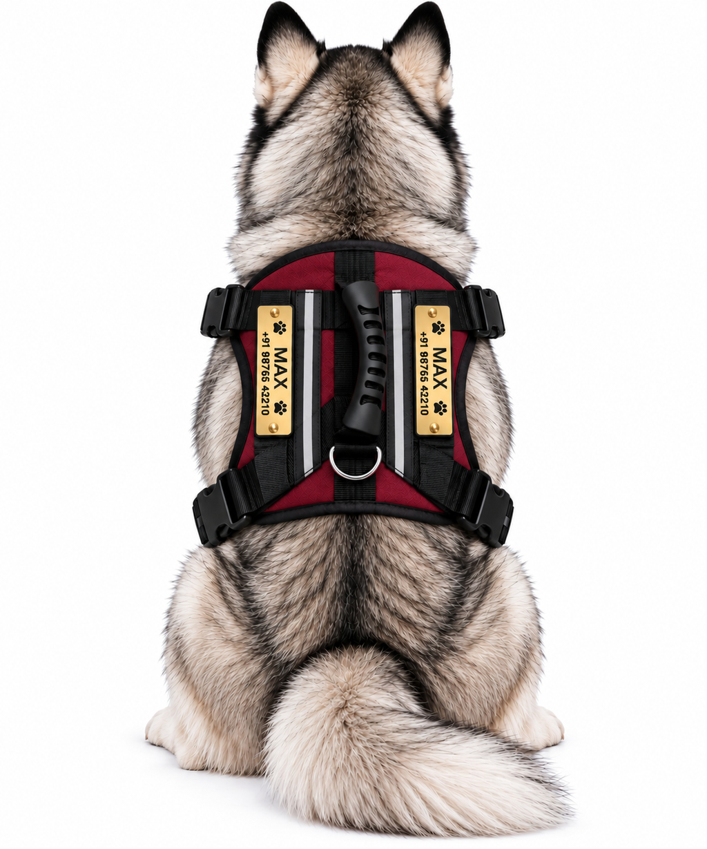 Premium Customizable Dog Harness with Personalized Name & Phone Number | Adjustable No-Pull Pet Vest Harness