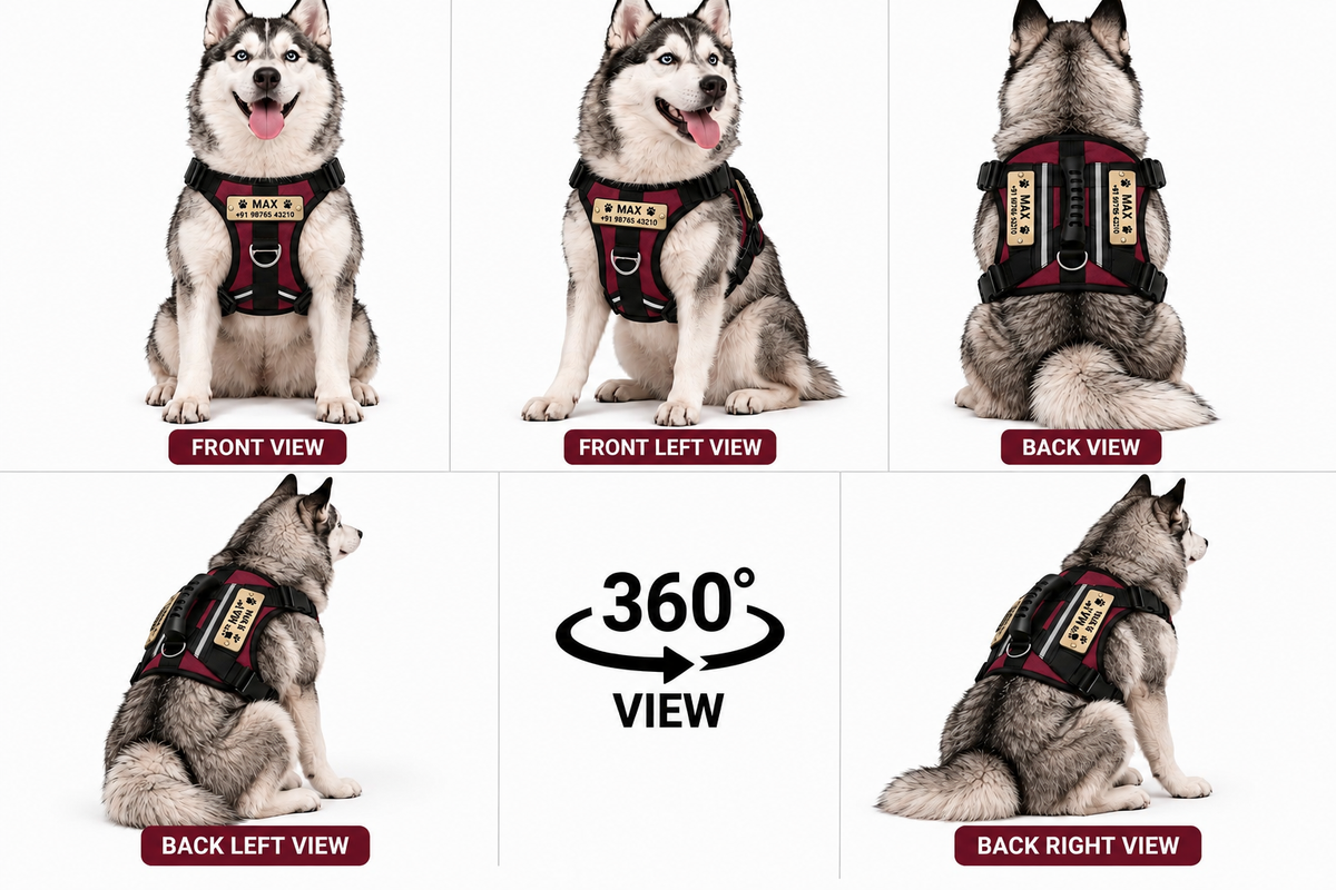 Premium Customizable Dog Harness with Personalized Name & Phone Number | Adjustable No-Pull Pet Vest Harness