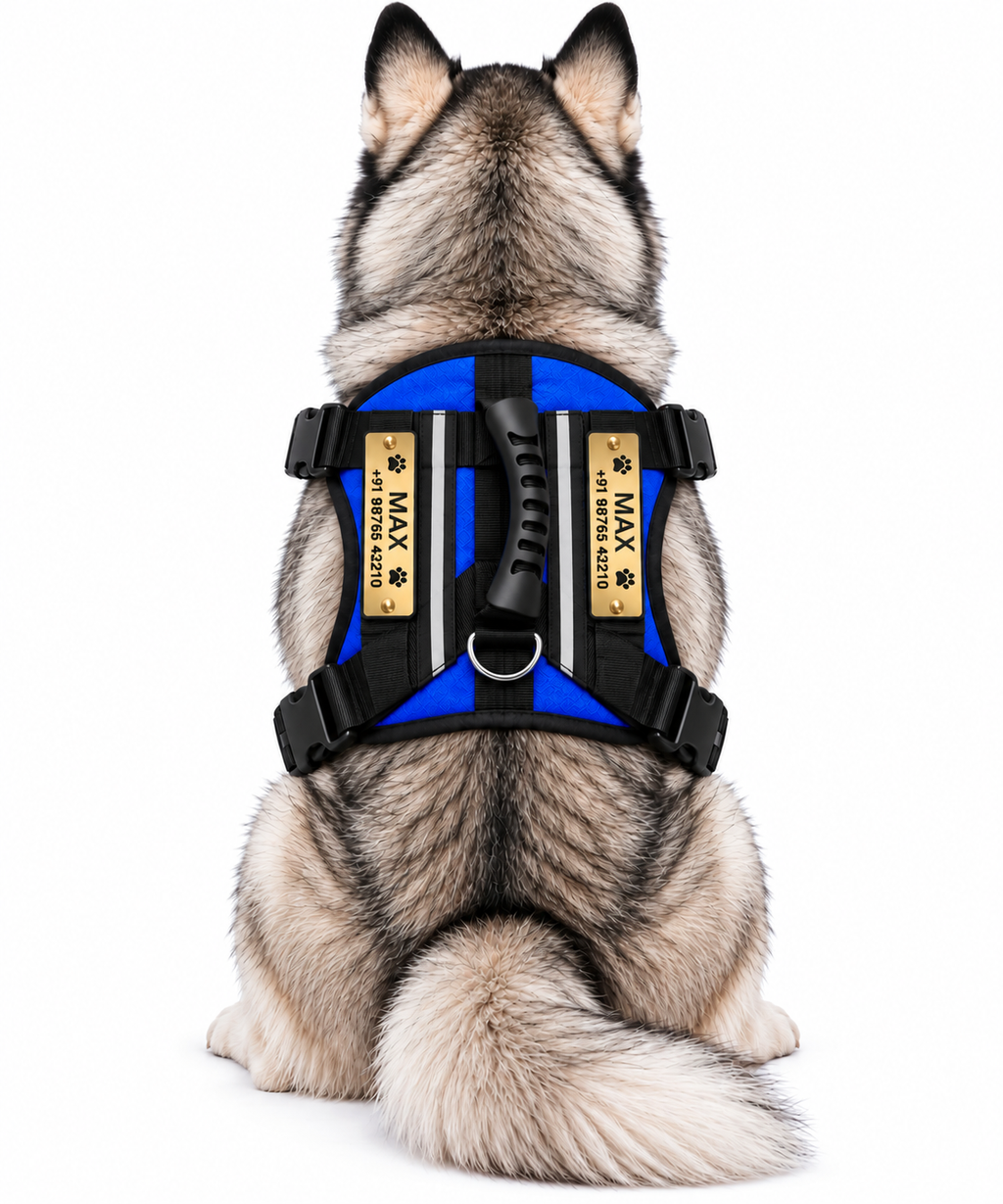 Premium Customizable Dog Harness with Personalized Name & Phone Number | Adjustable No-Pull Pet Vest Harness