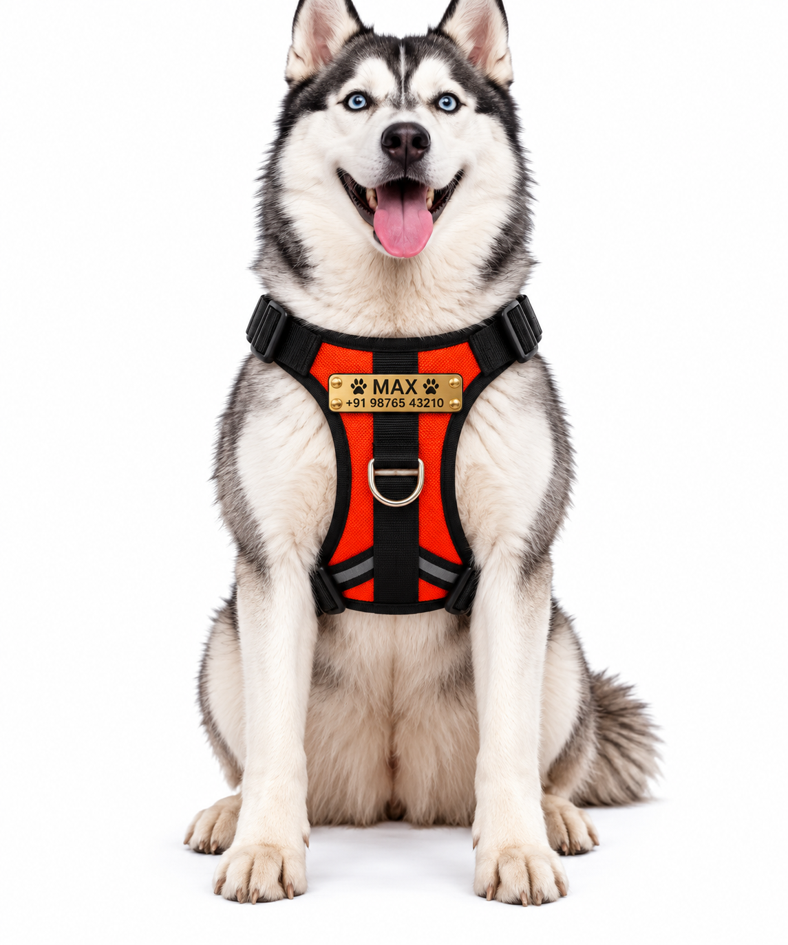 Premium Customizable Dog Harness with Personalized Name & Phone Number | Adjustable No-Pull Pet Vest Harness